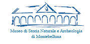 Logo Museo di Storia Naturale e Archeologia di Montebelluna