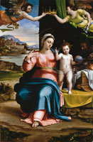 Sebastiano del Piombo - Sacra Famiglia in un paesaggio, 1530 ca. - olio su tavola, 249 x 167 - Burgos, Cattedrale