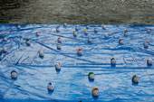 Nuotatori, installazione di Federico Paris