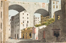 Luigi Garibbo, Ponte di Carignano in Genova