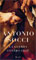 Antonio Socci, La guerra contro Gesù - Copertina del libro