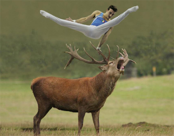 ROBERT GLIGOROV, Gymnast with Deer 2010, Stampa Lambda su dibond e plexiglass, Edizione di 5 esemplari + 2 A.P.cm 80 x 80, Courtesy Galleria Pack, Milano