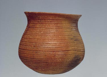 Santa Cristina di Fiesse (Brescia), vaso campaniforme età del Rame 3, 2500-2200 a.C.