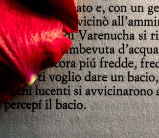 Words #28, Romanzo d'amore, 2012 - credits Luisa Menazzi Moretti