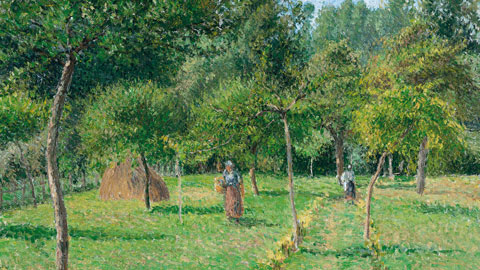 Camille Pissarro La Verger à Eragny, 1896 olio su tela 54,6 x 65,4 cm Carmen Thyssen-Bornemisza Collection, on loan at the Thyssen-Bornemisza Museum, Madrid