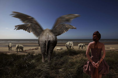Bart Herreman, Elefanti a Oostende, anno 2008, cm 120 x 180