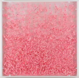 Alfredo Pirri, Piume, 2006, 120x120, acciaio, plexiglass, piume conciate e vernici acriliche