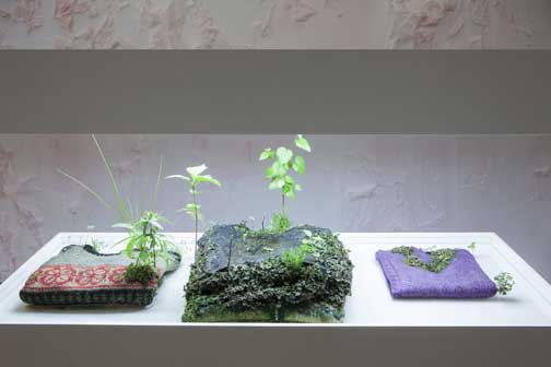 Michel Blazy: Pull over time, 2013, pullover, sweatshirts, plants, water