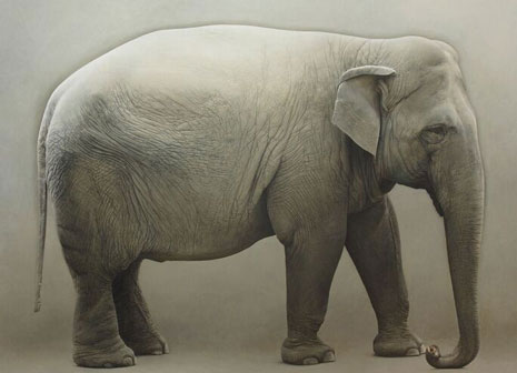 Marzio Tamer, E. Elefante, 2012 Olio su tela 178 x 220 cm