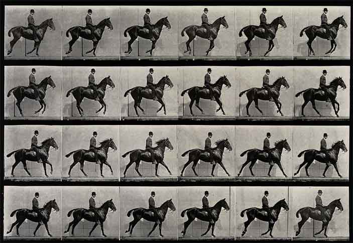 Eadweard Muybridge, A cantering horse and rider, 1887, Wellcome Library, educational project