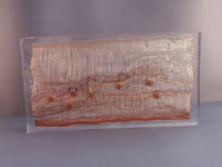 Marisa Bronzini (1920 - 2007), Filo 96, 2001, seta, rame, cotone, pignette spinose, cm 34×63x6