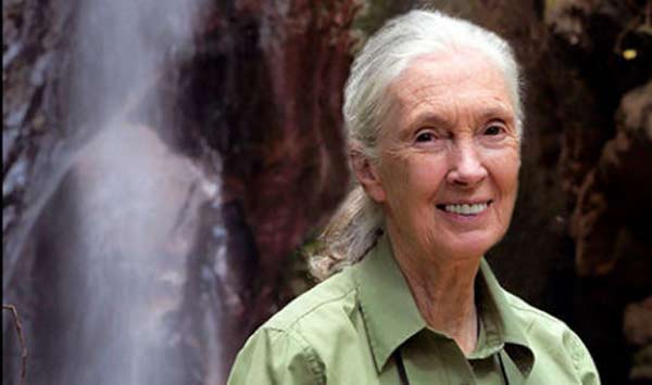 Jane Goodall al National Geographic Festival delle Scienze