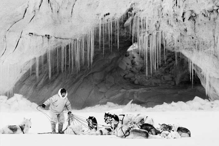 Ragnar Axelsson © - Thule, Mikide sull'Inglefield Fjornlandia, 1999, da Micol Biassoni (Triennale) - Mostra " Artico. Ultima frontiera "