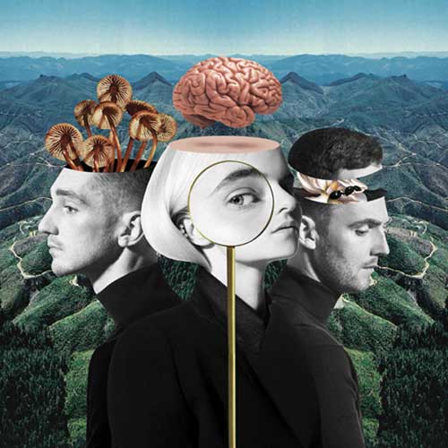 Clean Bandit, What Is Love?