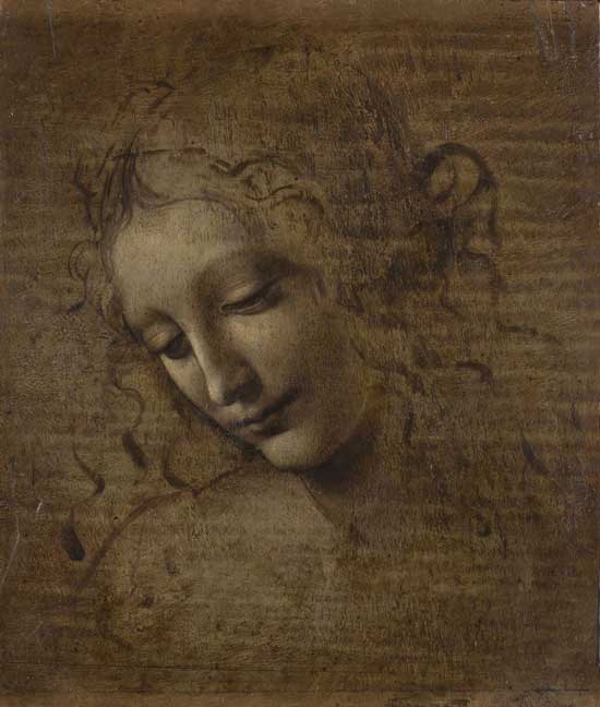 Leonardo da Vinci, Scapiliata - Foto di Lorenzo Moreni