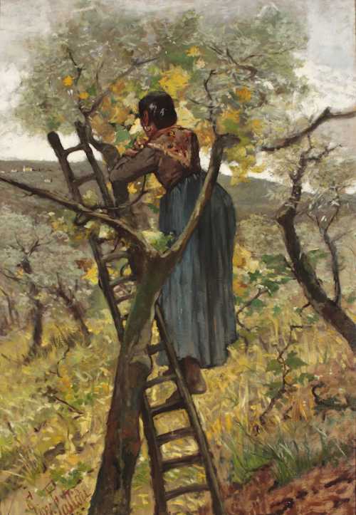 Giovanni Fattori, La raccolta delle foglie, 1887, olio su tela, 75x52 cm, collezione Palazzo Foresti, Carpi